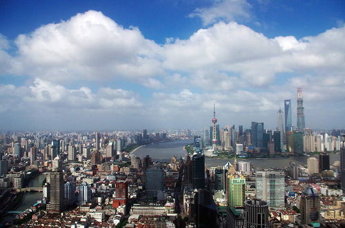 上?！毒W絡文化經營許可證》辦理全流程指南